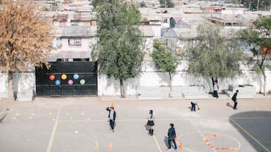 Escuelas que protegen: cuando la confianza se convierte en una estrategia de prevención