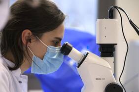 Derecho a los Conocimientos en la nueva Constitución