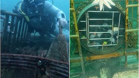 Cava de Mar: el panorama en Pichidangui que permite bucear, rescatar vino y brindar en la superficie