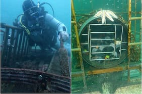 Cava de Mar: el panorama en Pichidangui que permite bucear, rescatar vino y brindar en la superficie