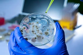 Identifican 70 enzimas capaces de devorar los residuos de la industria textil