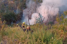 Incendios en La Araucanía: delegado José Montalva destaca “más de un 90% menos de afectación” que el año anterior