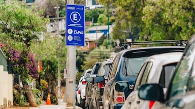 Zapallar: Alessandri en la mira por cederle a funcionarios municipales la explotación de estacionamientos públicos