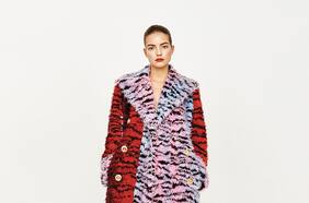 Print, color, diversión