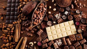 El cacao se derrumba en 2026, perfora los US$ 3.000 y abre la pregunta: ¿bajará el precio del chocolate?
