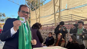 El fracaso del plan de Mulet y su pelea para salvar a la Frevs y el escaño de Calisto