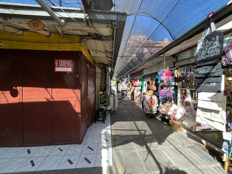 El ocaso de la feria artesanal de Santa Lucía La Tercera