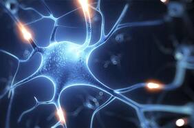 “Muertos vivientes”: científicos descubren enigmáticas células en el cerebro que siguen funcionando después del fallecimiento de una persona