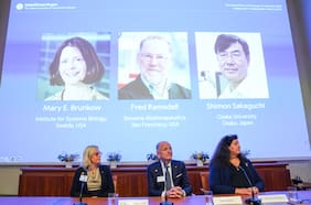 Nobel de Medicina para los estadounidenses Mary E. Brunkow, Fred Ramsdell y al japonés Shimon Sakaguchi