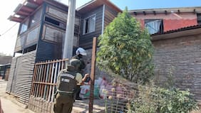 Con luces de Navidad y en plena vía pública: Carabineros detecta “árbol” de marihuana de tres metros en San Bernardo