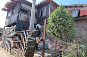 Con luces de Navidad y en plena vía pública: Carabineros detecta “árbol” de marihuana de tres metros en San Bernardo