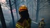 Senapred declara Alerta Amarilla para Pichilemu por incendio forestal que afecta 50 hectáreas