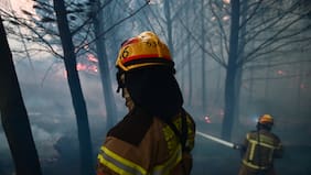 Llaman a evacuar sector Miguel Ángel Alto en Valparaíso por incendio forestal