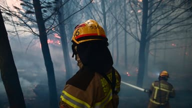 Senapred declara Alerta Amarilla para Pichilemu por incendio forestal que afecta 50 hectáreas