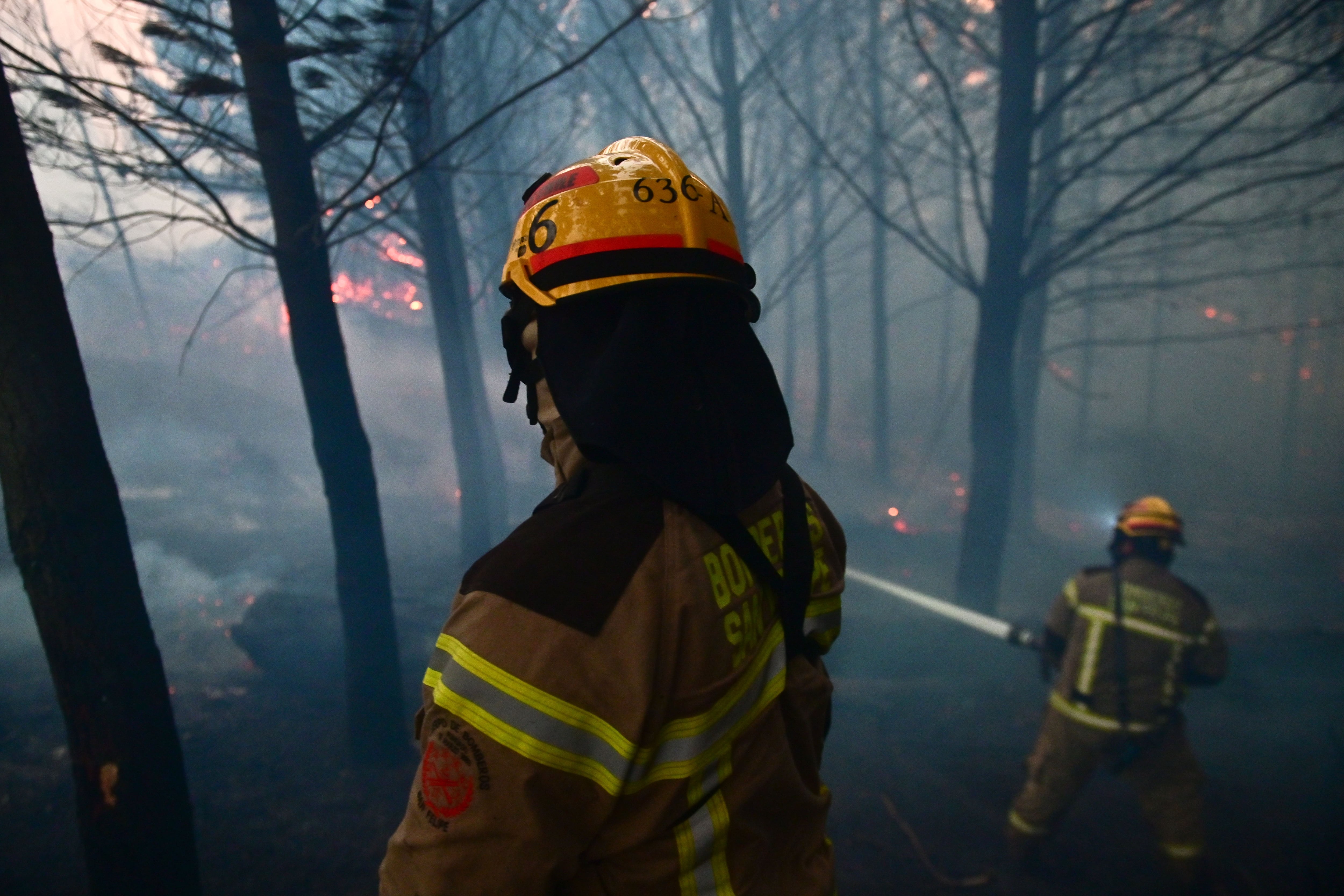 Senapred declara Alerta Amarilla para Pichilemu por incendio forestal que afecta 50 hectáreas