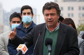 Ministerio de Agricultura declara emergencia agrícola por plaga que afecta a la producción de frutillas