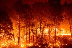 Conaf y Naciones Unidas se preparan para que Chile sea un país más resiliente ante los incendios forestales