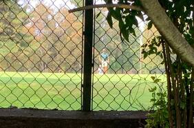 Juzgado Civil anula multa aplicada en pandemia a club de golf Lomas de La Dehesa