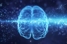 Estudio revela cómo el cerebro procesa las emociones y cómo se adapta al estrés social