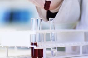 Un ministerio, un Congreso y una ley de etiquetado: Comisión Desafíos del Futuro publicará informe con sus mayores logros