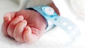 Censo 2024: INE estima que en 2028 “van a haber más defunciones que nacimientos en el país”