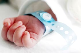 Censo 2024: INE estima que en 2028 habrá más defunciones que nacimientos en el país