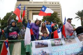 Organizaciones animalistas y profesionales en picada por rechazo de la Cámara a la prohibición de carreras de perros