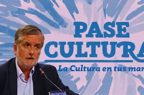 Parlamentarios dividen posturas ante anuncio de suspensión del Pase Cultural del futuro ministro Undurraga