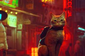 Stray llegará en agosto próximo a Xbox