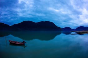 ¿Cuáles son los desafíos pendientes en conservación marina?