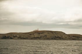 Magallanes registra el terremoto más fuerte en 75 años por activación de desconocida falla de Scotia