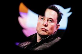 Elon Musk inicia lucha para erradicar los bots o perfiles falsos de Twitter