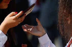 Cerebros, celulares y criterio