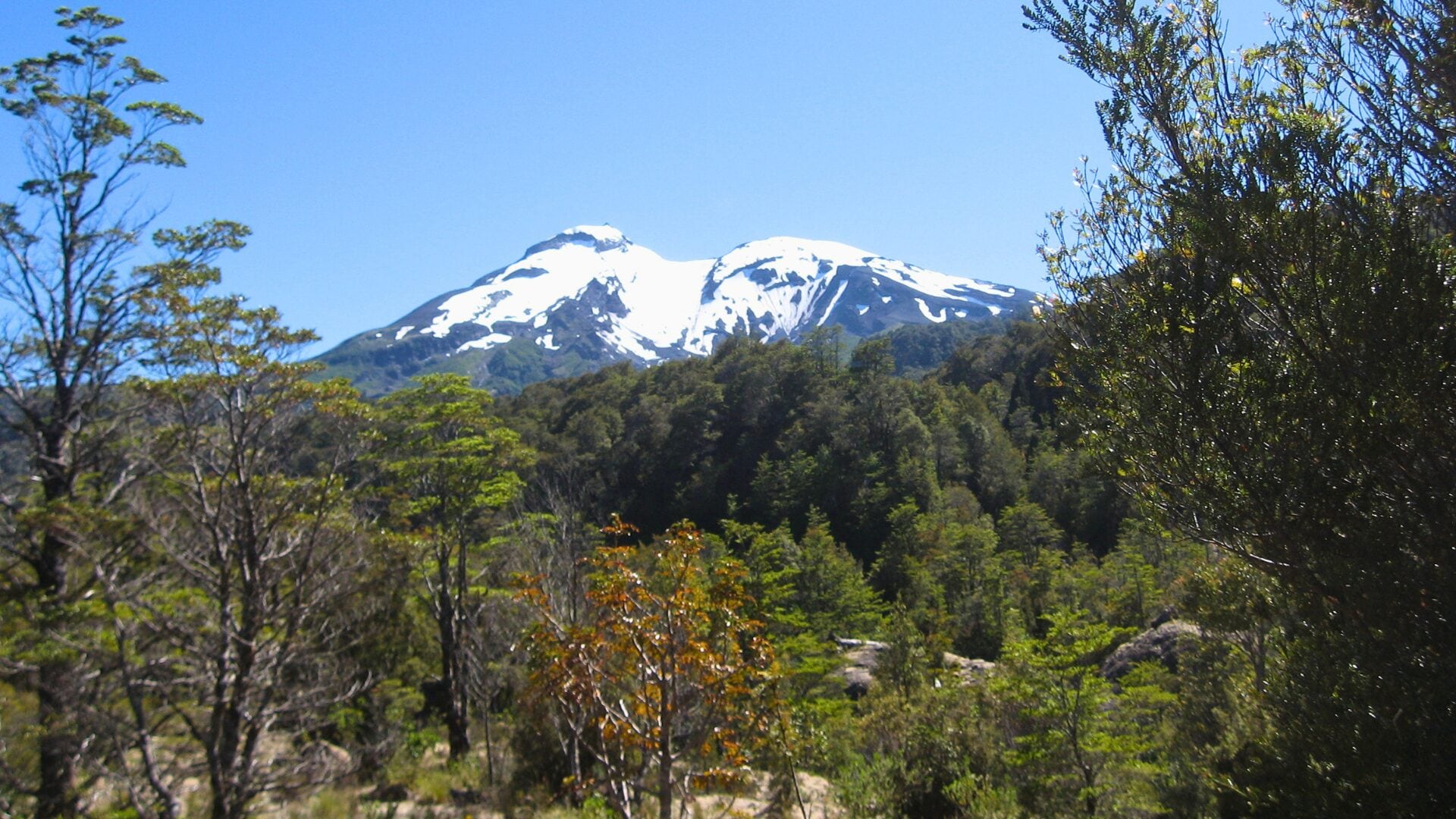 Tras fallecimiento de montañista en el volcán Calbuco: Conaf llama a visitar con precaución las áreas protegidas