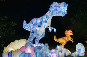 Tianfu Kungfu festejará el Día del Niño con promociones y descuentos