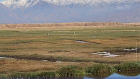 Megarreforma: las nuevas normas ambientales que pretenden rebajar los tiempos de los proyectos de inversión