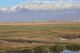 Ministerio del Medio Ambiente restituye reconocimiento al humedal urbano de Quilicura