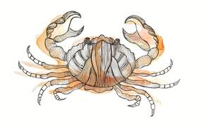 Horóscopo para Cáncer 2017