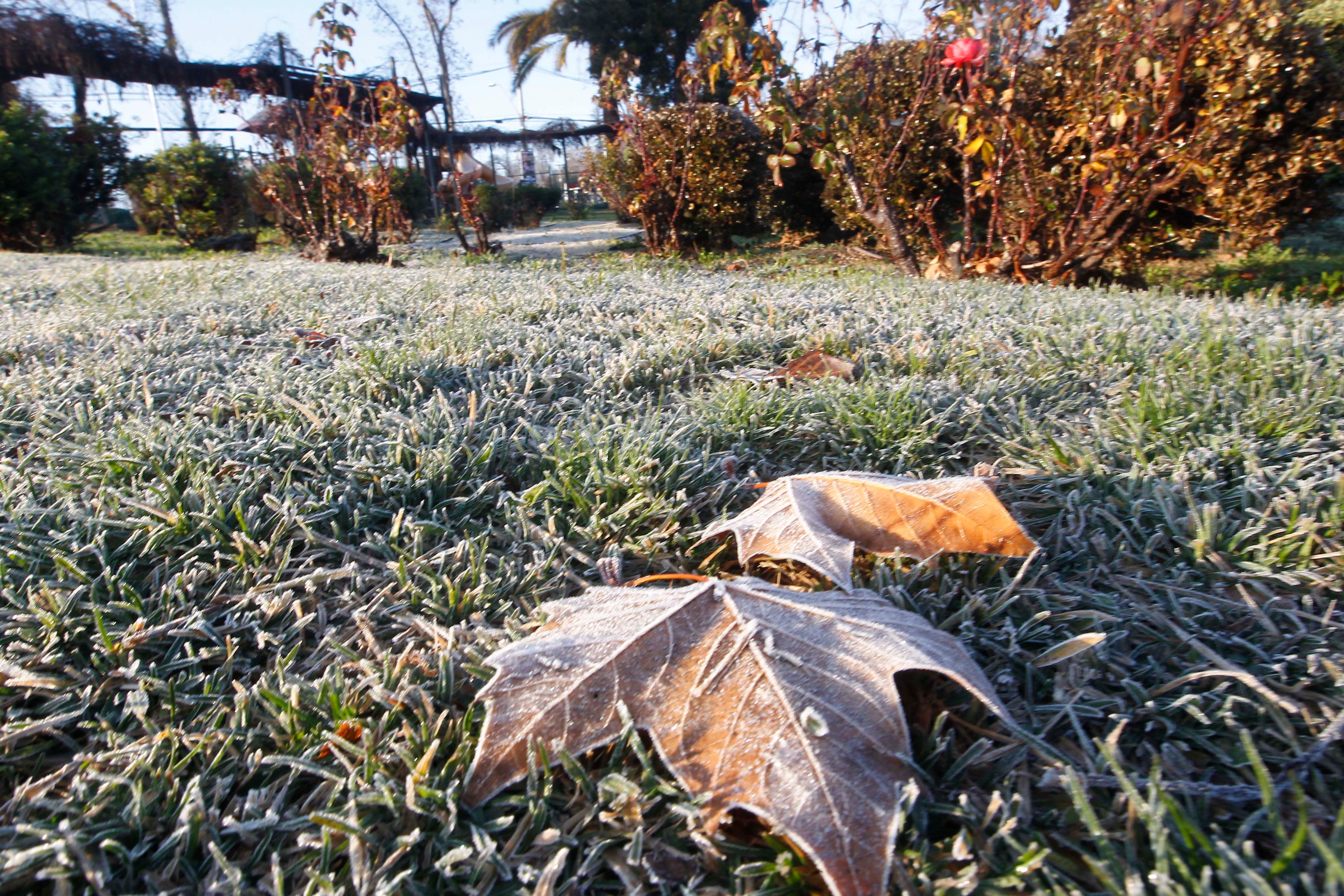 DMC apunta que fenómeno de El Niño en Chile "es un proceso que se tiene que ir dando lentamente"
