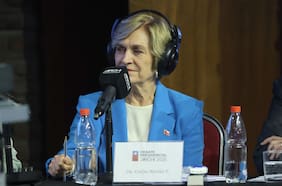 Archi: Matthei responde por sus dichos sobre el Plan de Búsqueda y apunta crítica hacia instituciones de DD.HH.