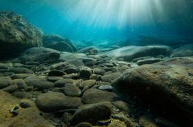 Descubren que el fondo del Océano Pacífico se está desgarrando: ¿Cómo nos puede afectar?