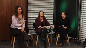 A 150 años del decreto que cambió el destino de las mujeres chilenas en las universidades
