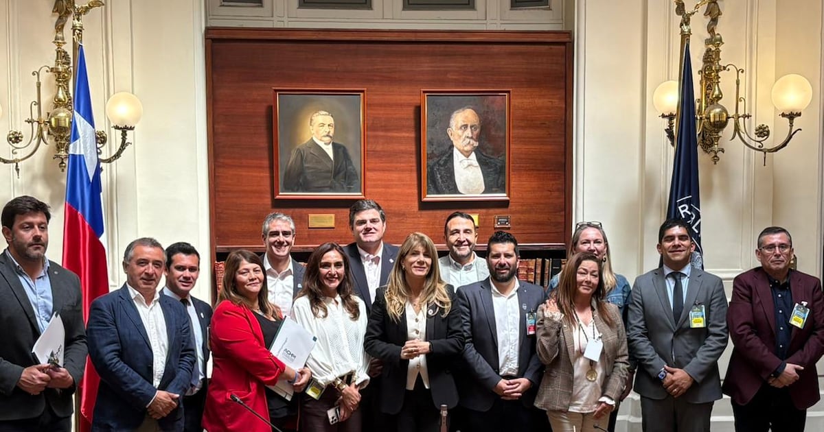 Citas con parlamentarios y gestiones con una ministra: la carrera contrarreloj de la ACHM por recorte de presupuesto