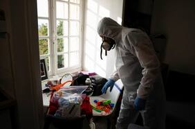 Plaga de chinches invade París y causa preocupación de cara a los Juegos Olímpicos de 2024