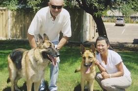 Qué pasará con los dos perros de Gene Hackman que sobrevivieron