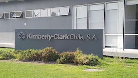 La FNE aprobó sin condiciones la compra de Kenvue por parte de Kimberly-Clark