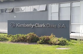 La FNE aprobó sin condiciones la compra de Kenvue por parte de Kimberly-Clark