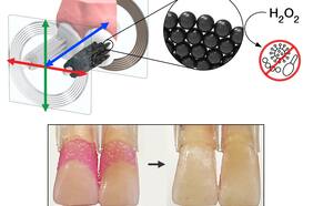 Adiós al cepillo de dientes: Crean microbots que cambian de forma alcanzando áreas difíciles de llegar