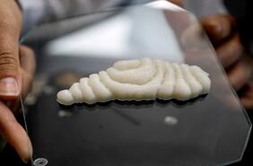 Desarrollan el primer filete de pescado impreso en 3D