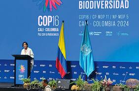 COP 16: avances en biodiversidad para Chile y la región